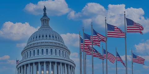 Government & Public Policy Internship Job Boards