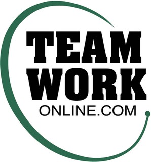 TeamWork Online