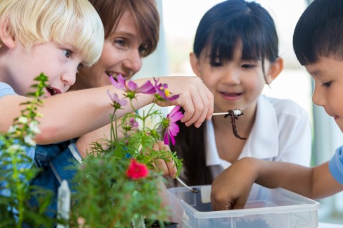 Young children studying plants with a young female teacher