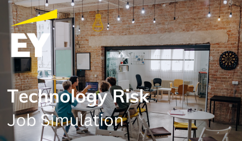 EY Technology Risk