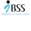 IBSS logo