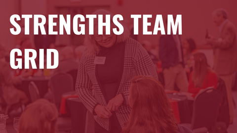 Strengths Team Grid