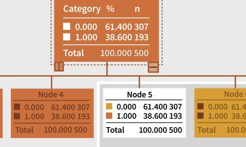 Machine Learning and AI Foundations: Decision Trees with SPSS