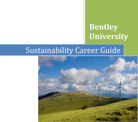 Sustainability Career Guide