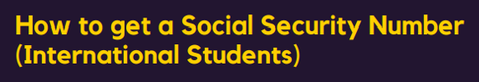 How to Get a Social Security Number (International Students)