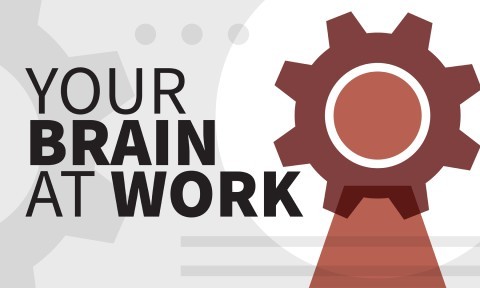 Your Brain at Work (Blinkist Summary)