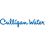 Culligan International Company logo
