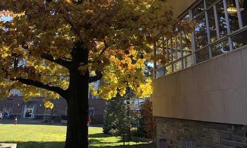 Reserve a Quiet Room