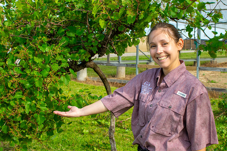 Photo: Haley Williams at the MAFES South Mississippi Branch Experiment Station in Poplarville,