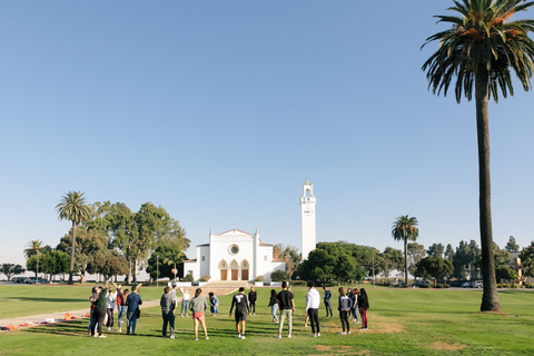 What Can I Do With this Major?