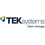 TEKsystems logo