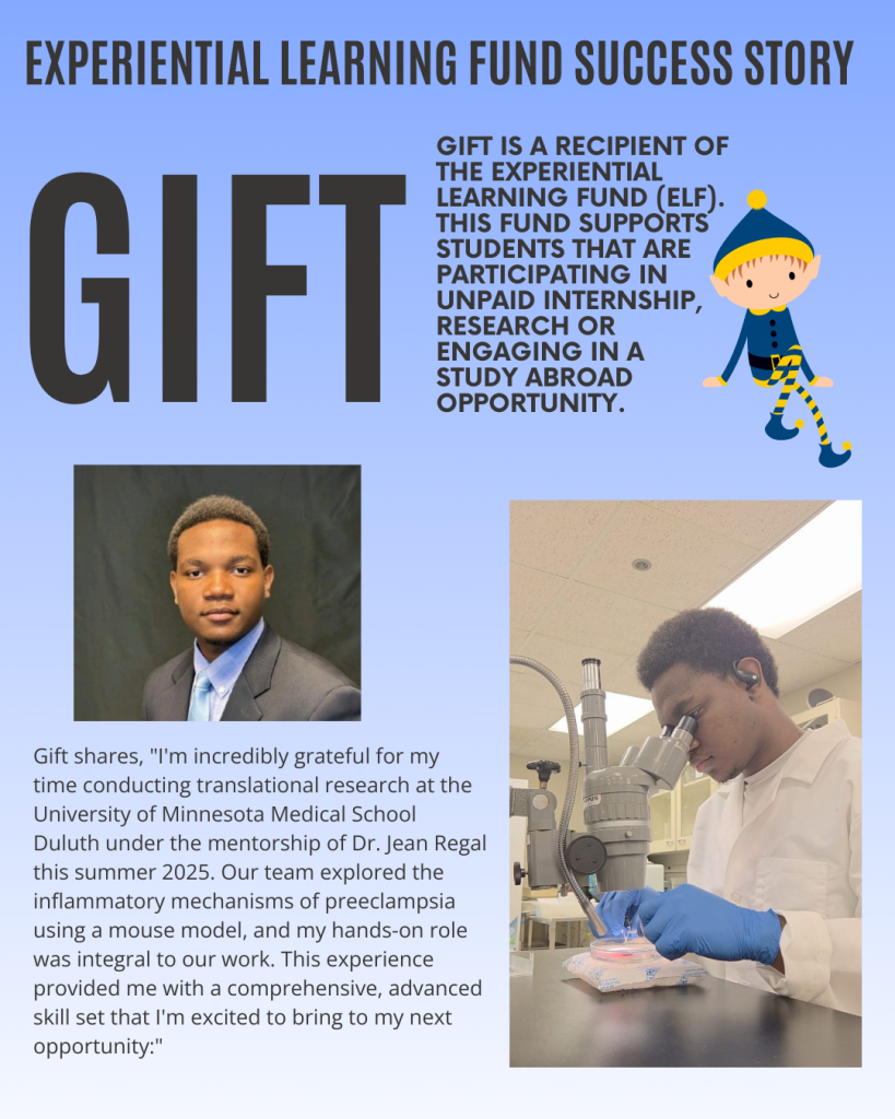 ELF Success Story GIft