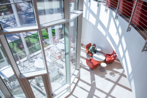 a student in an armchair in Rice Hall, pictured from above