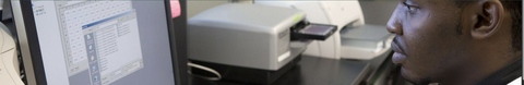 Binghamton University Projects for New Undergraduate Researchers (BUPNUR)