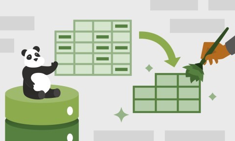 Data Cleaning with pandas