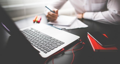 Professional Writing in the Job Application Process