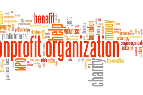 Word Cloud for non-profit orgs.