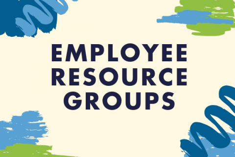 Employee Resource Groups (ERGs)