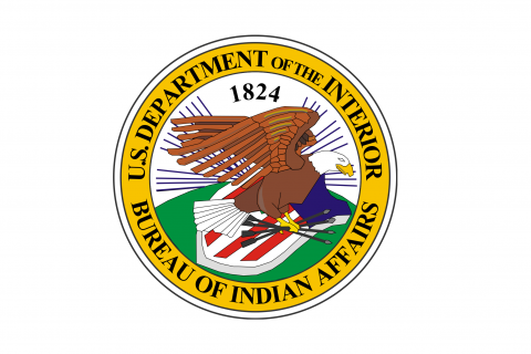 Bureau of Indian Affairs: Office of Indian Economic Development