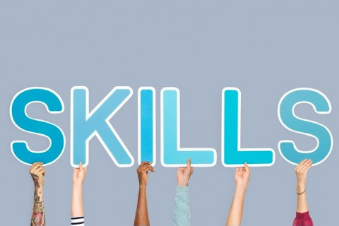 Build Your Professional Skills & Competencies