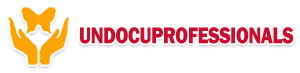 Undocuprofessionals