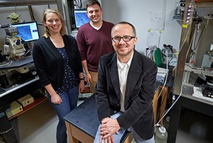 Faculty Engagement Options