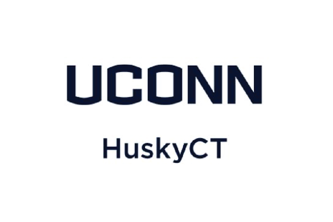 HuskyCT Organization & Courses