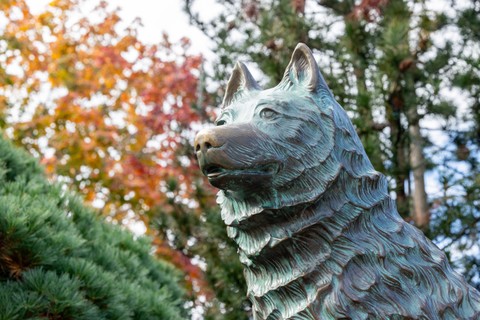 Campus Resources for Support and Professional Development: