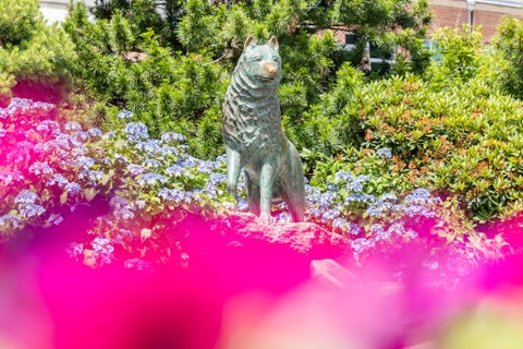 Alumni Services Policy