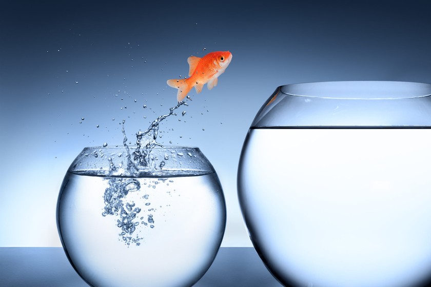 How to Perfect your Résumé UConn Center for Career Readiness and Life