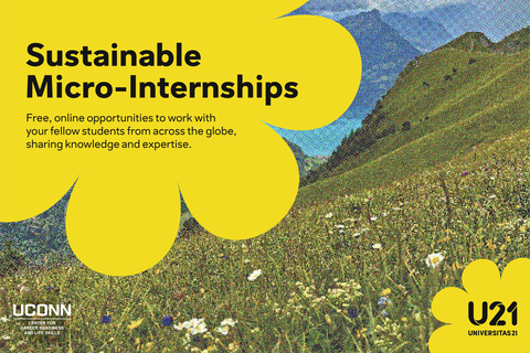 Sustainable Micro-Internships Free, online opportunities to work with your fellow students from across the globe, sharing knowledge and expertise.