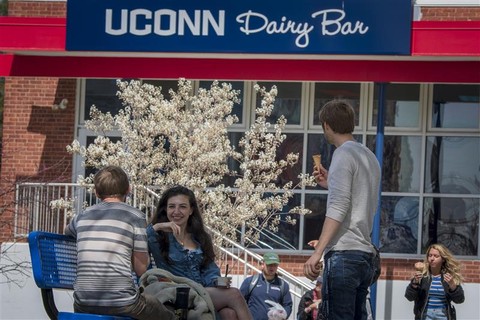 Students eating ice cream outside the UConn Dairy Bar.