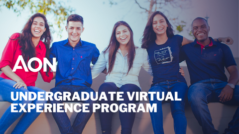 Undergraduate Virtual Experience Program