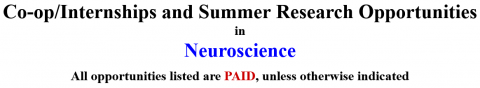 Neuroscience Internships